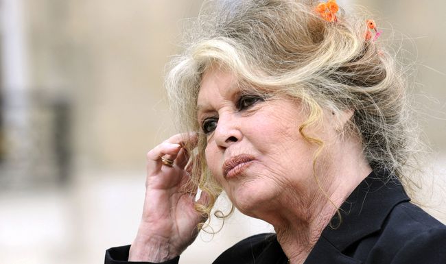 Brigitte Bardot schreibt einen offenen Brief an Albert Rösti, weil sie sich über die Wolfs-Pläne des Bundesrats empörte. (Archivbild)