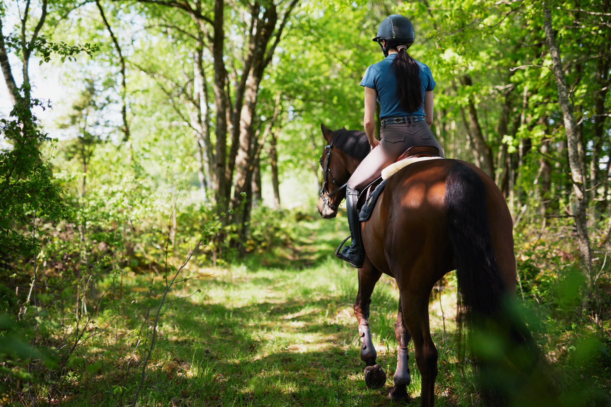 Geschichte des Reitens: Der Mensch reitet wohl schon seit über 6000 Jahren auf Pferden