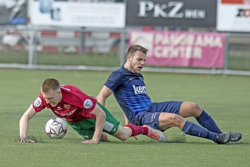 Mehr erwartet Berner Zeitung