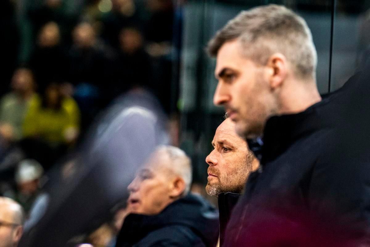 Entraîneurs de Genève-Servette HC lors d’un match de hockey sur glace contre HC Ajoie à Genève, 28 janvier 2025.