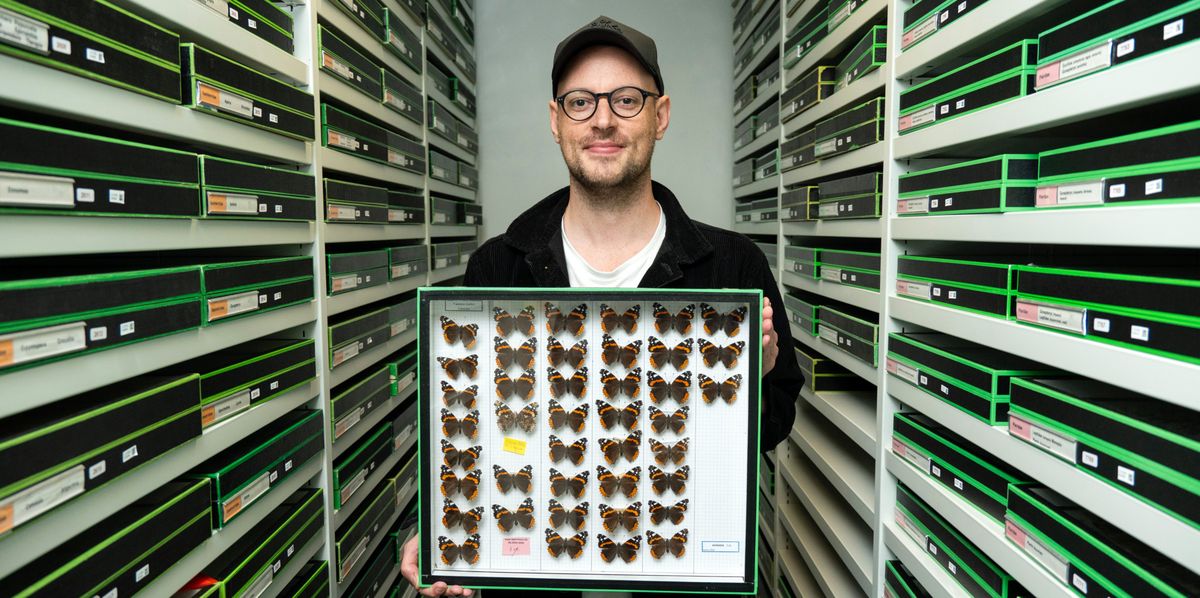 Jérémy Gauthier, biologiste spécialisé dans la génomique des populations, au cœur des collections du Naturéum.