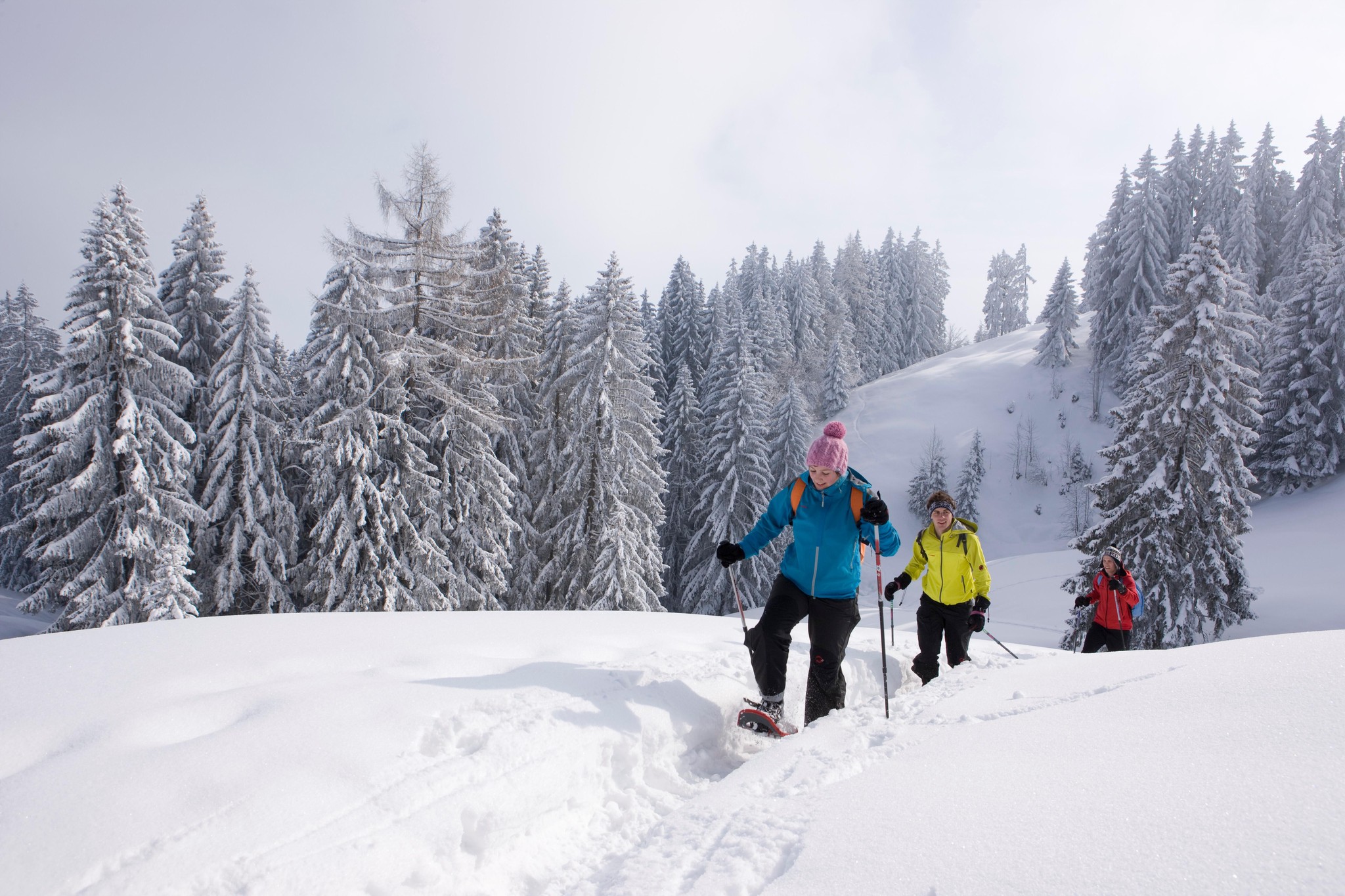 Reizvoller Pfad durch die Appenzeller ­Hügellandschaft.
