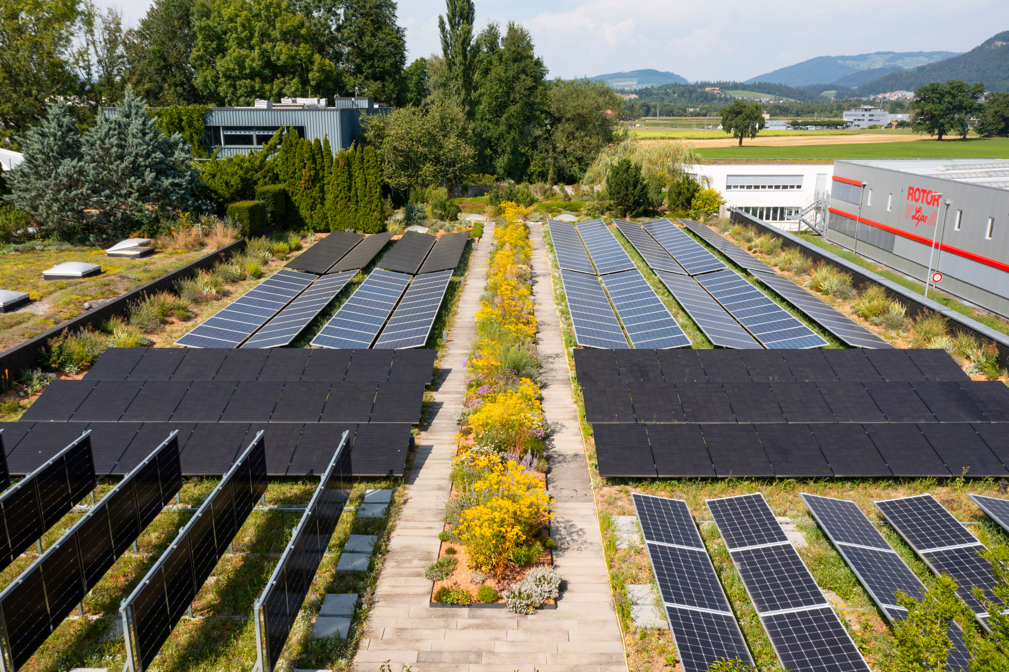 Blick auf das Gründach der Firma Contec in Uetendorf mit Solarpaneelen und bepflanzten Bereichen, Teil eines Themenwegs auf der Produktionshalle.