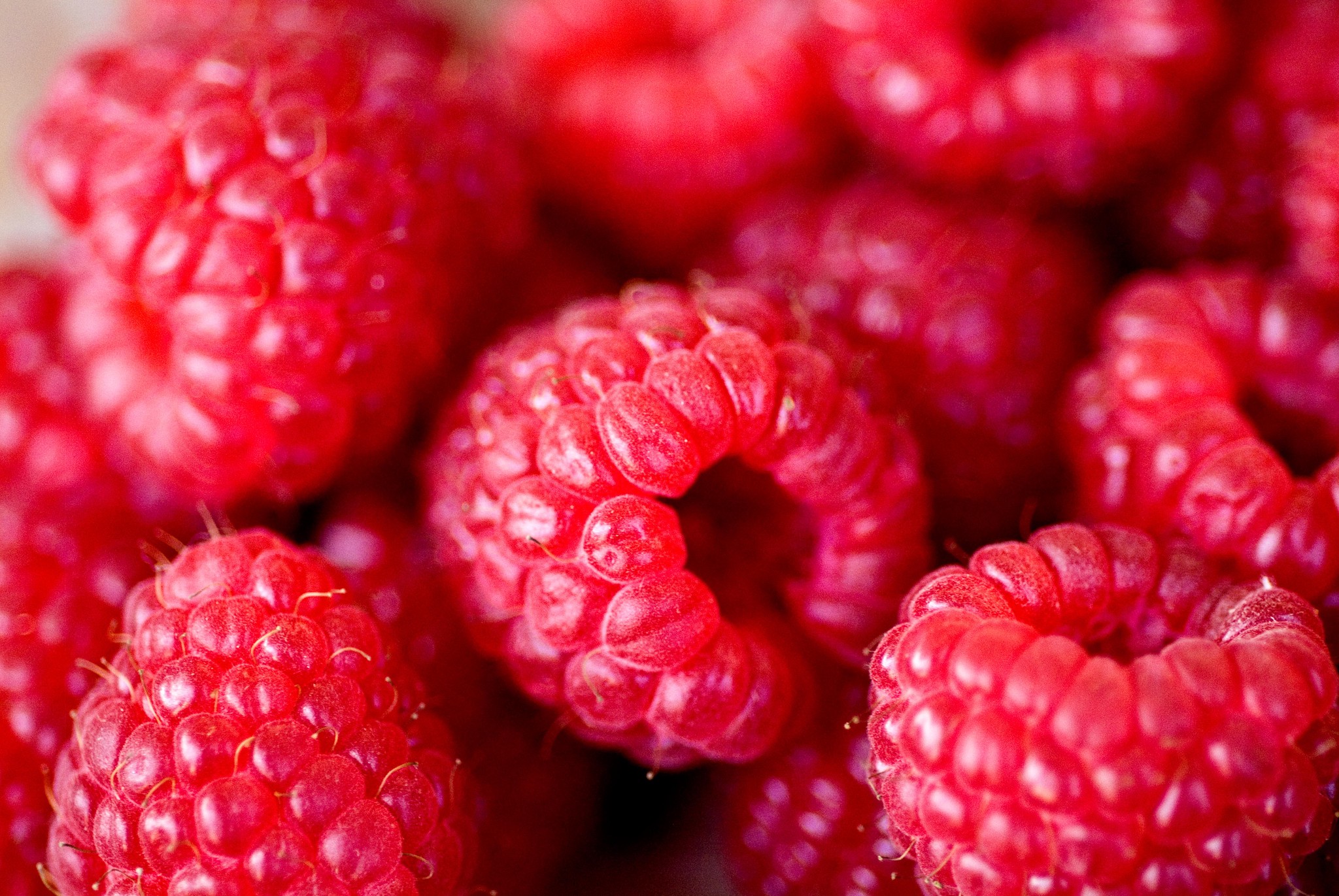 Vitaminbombe, die gegen Durchfall und Fieber hilft: die Himbeere.