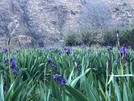 FuW-Analyse zum Quartalsumsatz: Givaudan schlägt sich beachtlich