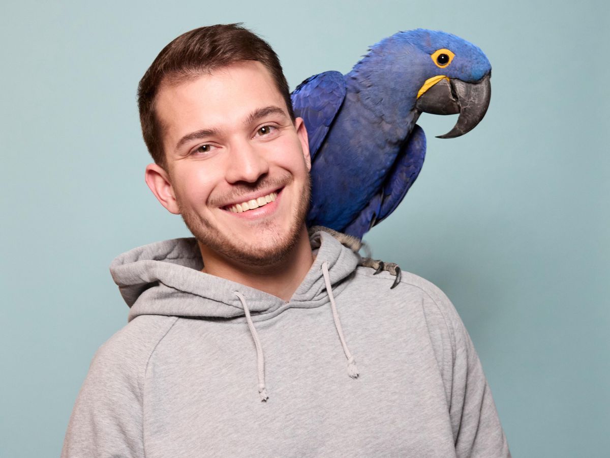 Un homme souriant avec un perroquet Grand ara bleu sur l’épaule, à Val Terbi, le 21 novembre 2024.