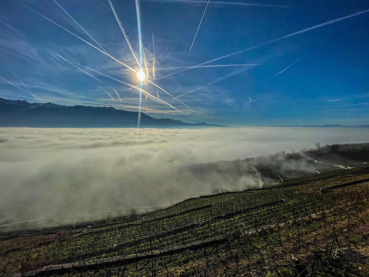 L’État veut empêcher les élus opposés au plan Lavaux de se prononcer