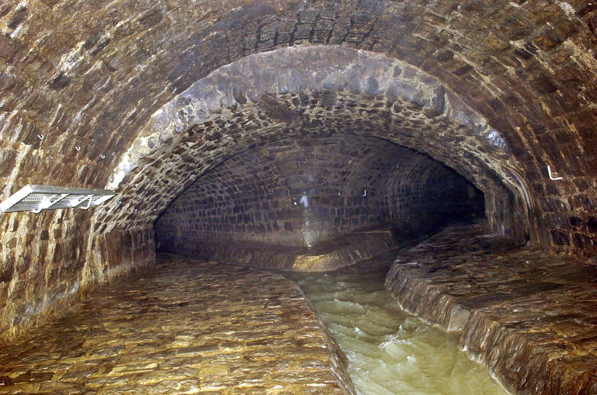 Nos égouts, intestins à l’échelle de la ville. 