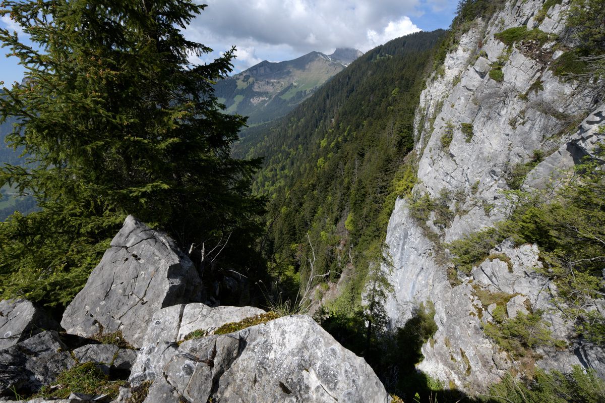 Sur les hauts d’Yvorne, le lieu-dit «La Crevasse» fait partie des sites jugés à risque que l’Unité vaudoise des dangers naturels observe  avec une attention accrue.