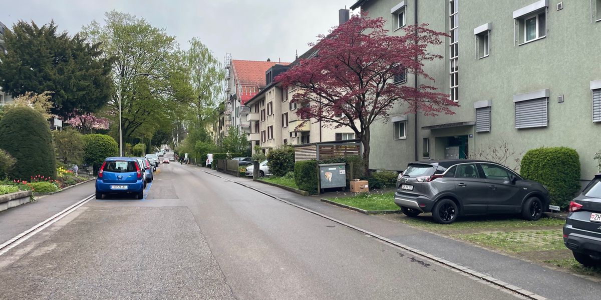 Winterthur Court: Mentally Ill Threatens with Toy Gun, Knocks Over Strollers