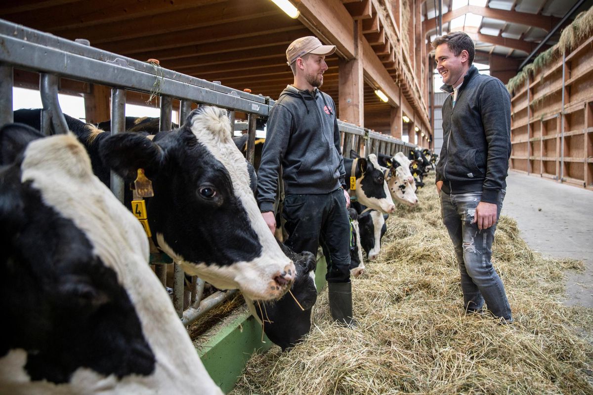 Président de la future et vaste fromagerie de l’Étraz qui verra le jour à Senarclens, l’agriculteur qu’est Marc Vial a hâte de voir la constriction démarrer, avant de remettre les clés au fromager Anthony Berger.