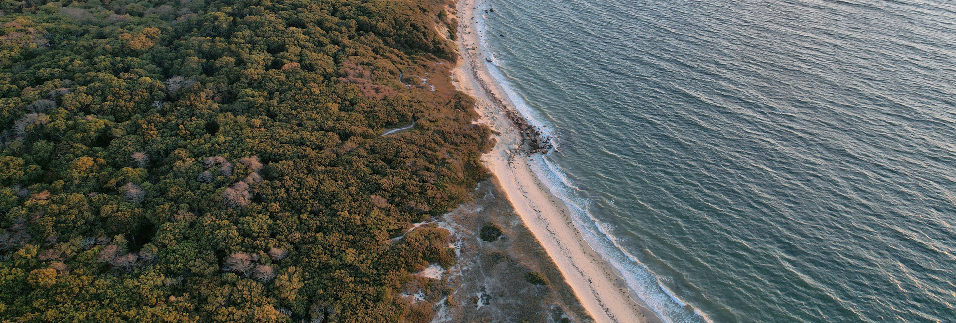Luftaufnahme einer Küstenlinie mit dichtem Wald, schmalem Sandstreifen und ruhigem Meer im Abendlicht.