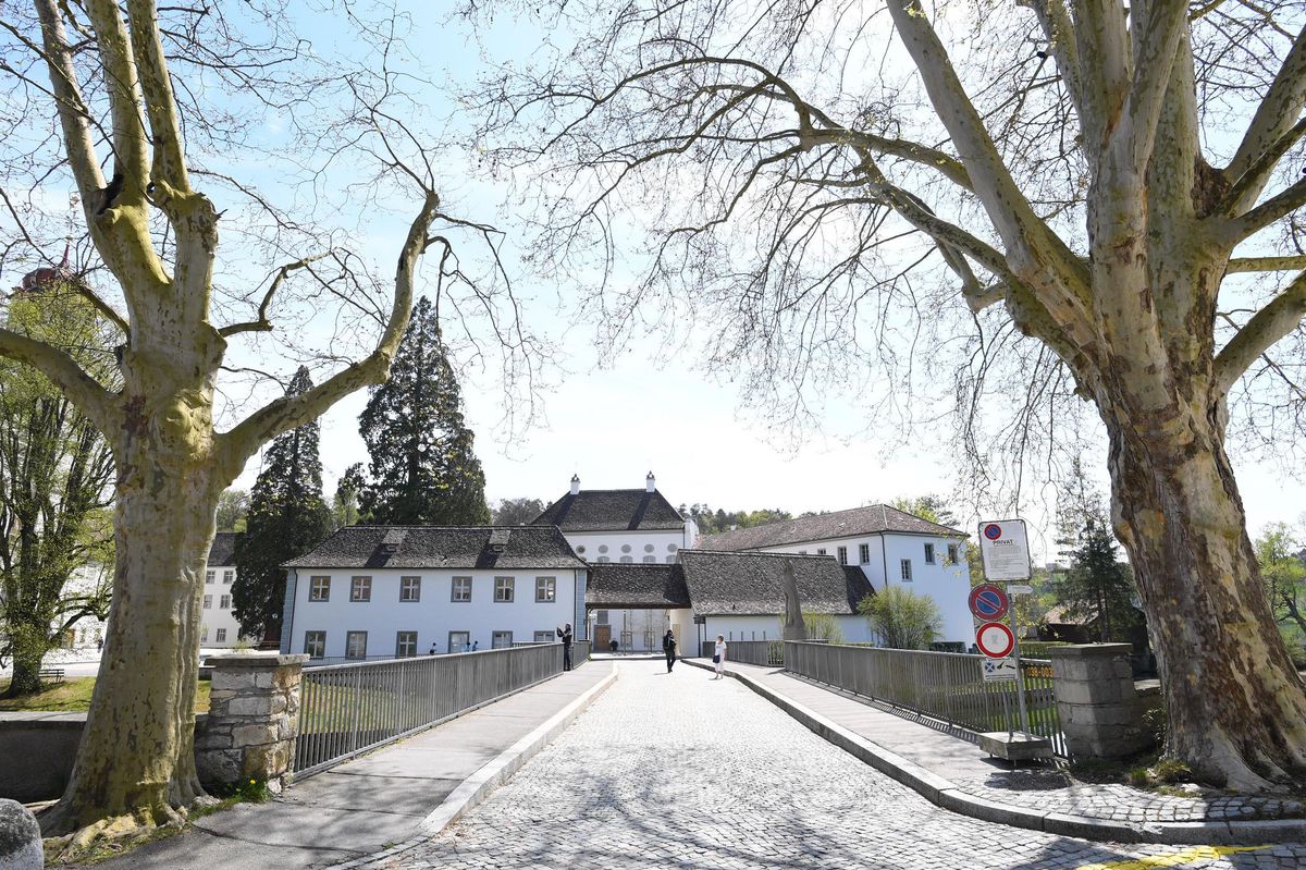 Insel Museum Rheinau Gemeinde will sich an Museum beteiligen Der