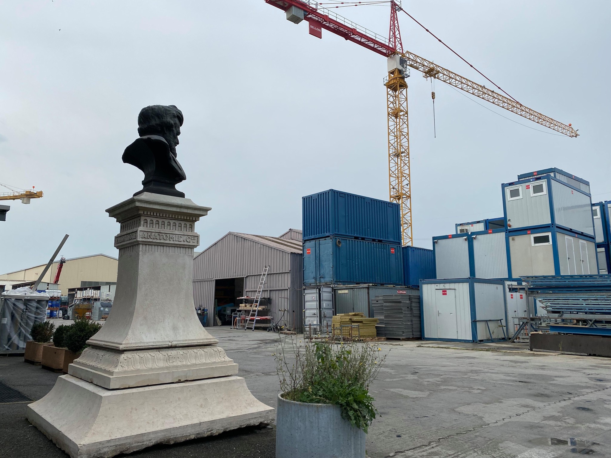 Le nouvel emplacement de la statue de Carl Vogt. Enfin, provisoirement, en principe…