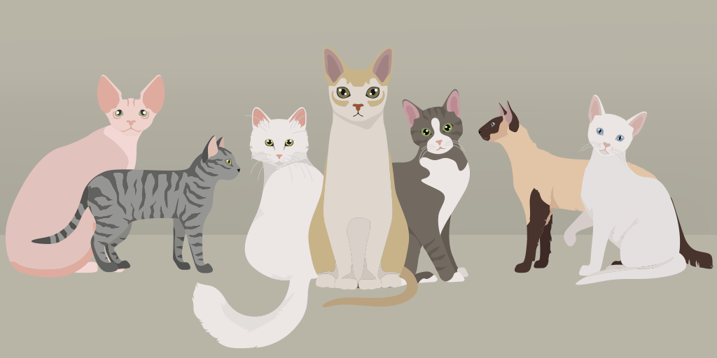 Voici les races et les noms les plus populaires dans notre pays