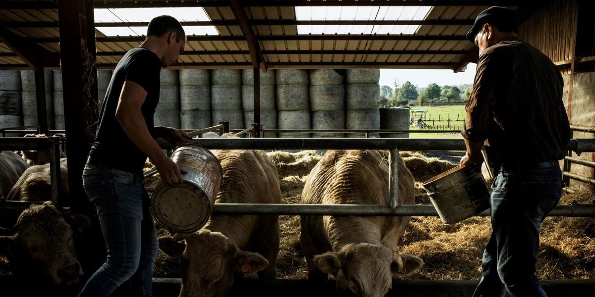 Mercosur: l’accord de libre-échange adopté en commission