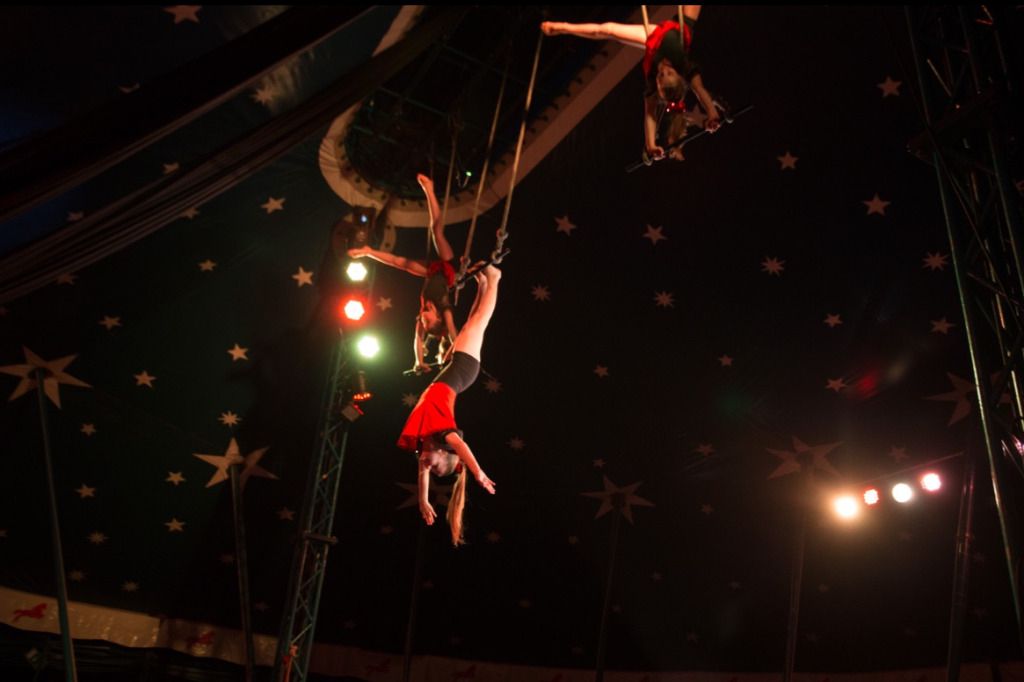 Une fillette chute d'un trapèze dans un cirque