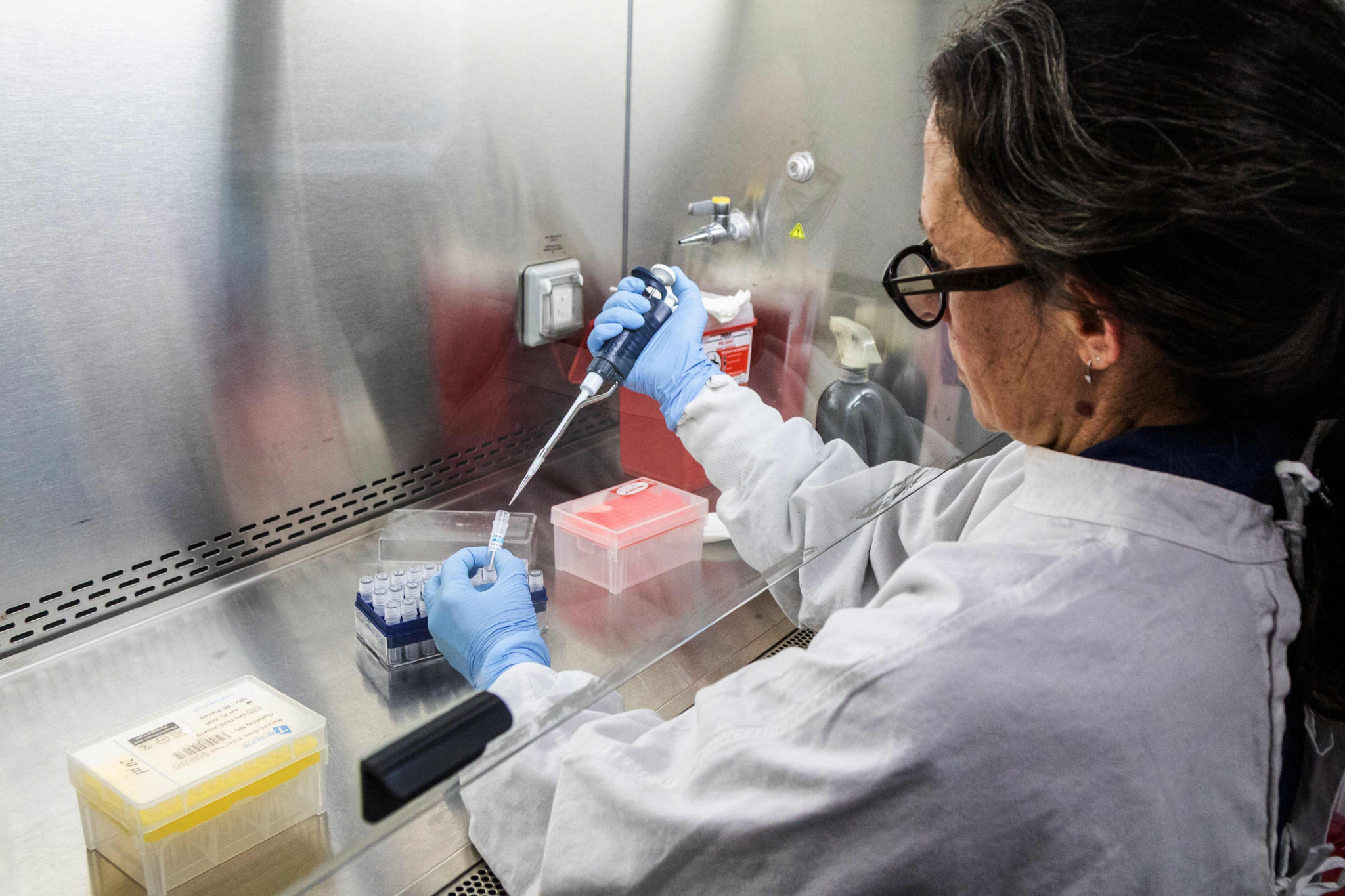 Experten schlagen Alarm: Argentinien verzeichnet sprunghaften Anstieg der Hantavirus-Fälle