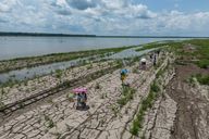 Auswirkungen des Klimaphänomens: Ein Super-El-Niño ist im Anmarsch