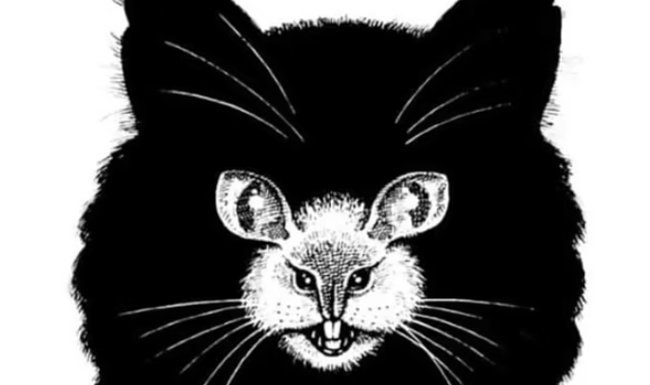 Katze oder Maus? Was siehst du zuerst?