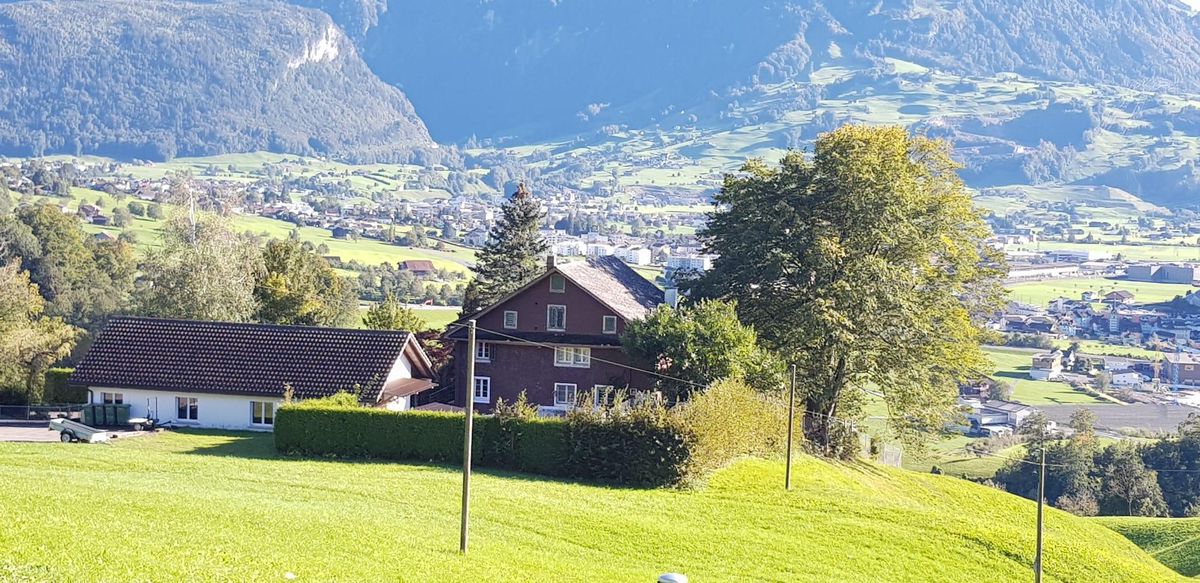 Oder auch das Tierheim Burg in Schwyz. 