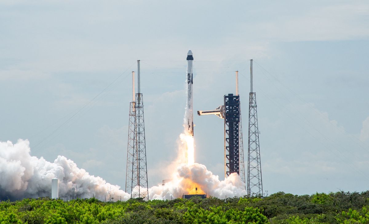 Un lanceur SpaceX Falcon 9 transportant le vaisseau spatial Dragon de la mission Crew-9 de la NASA décolle de la base de lancement de la Space Force Station de Cap Canaveral en Floride.