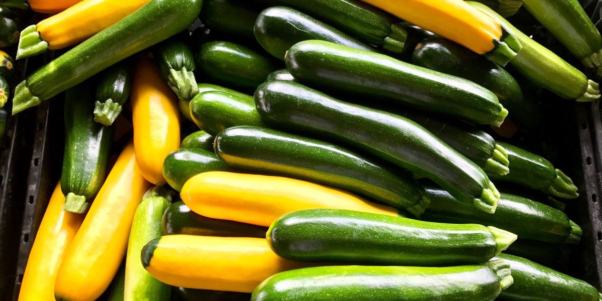 Kochen-mit-Zucchetti-Jetzt-ist-Hochsaison-so-holen-Sie-mehr-aus-der-Zucchetti-raus