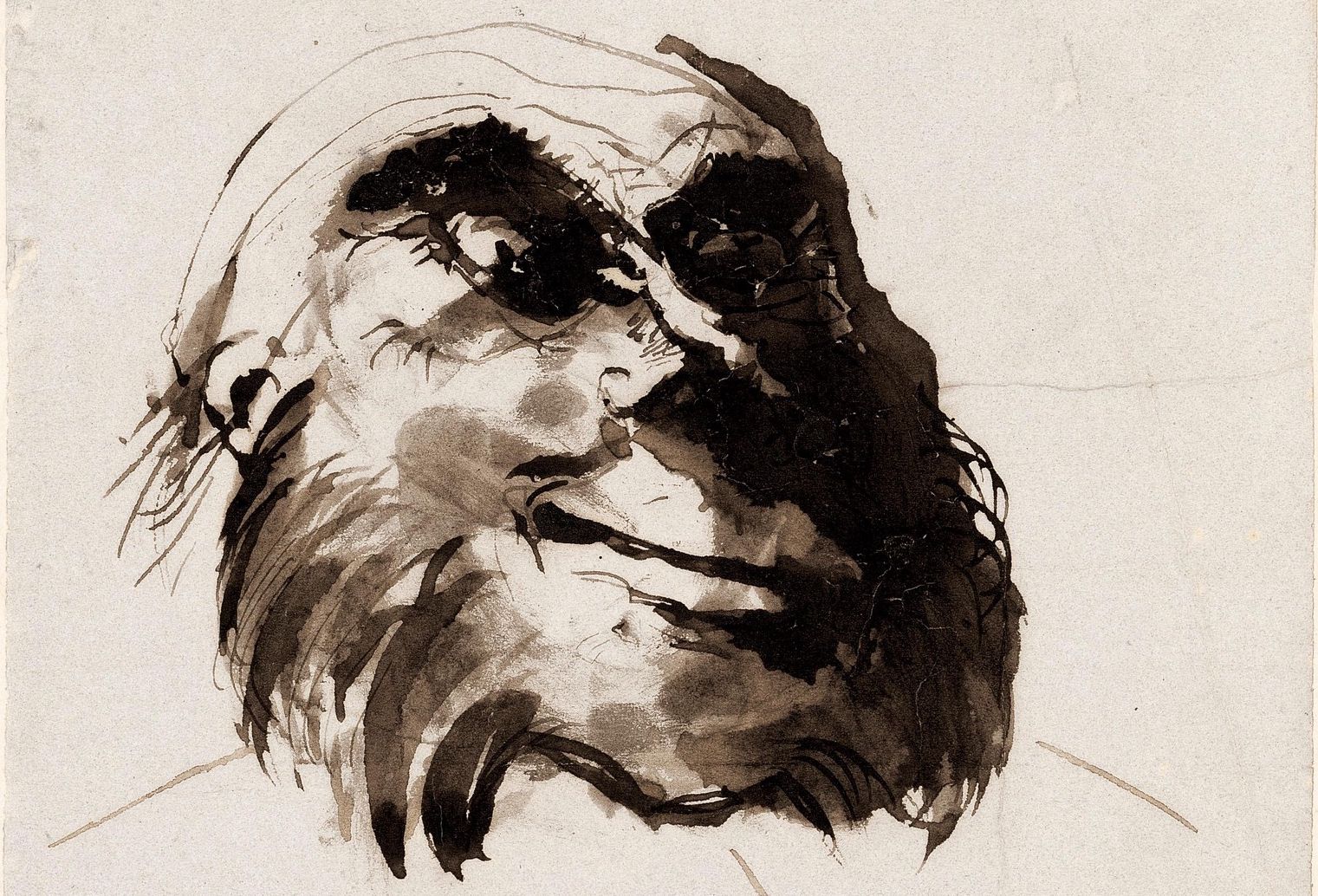 Cette tête d’homme, décrite à l’inventaire comme «dégarnie aux favoris épais» fait partie de la centaine de figurations humaines laissées par Hugo, dessinateur.