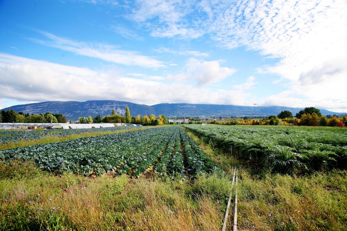 La plaine de l’Aire en 2010.