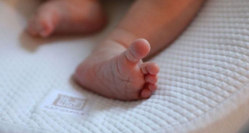 En France Un Nouveau Ne Trouve Vivant Dans Une Poubelle L Essentiel