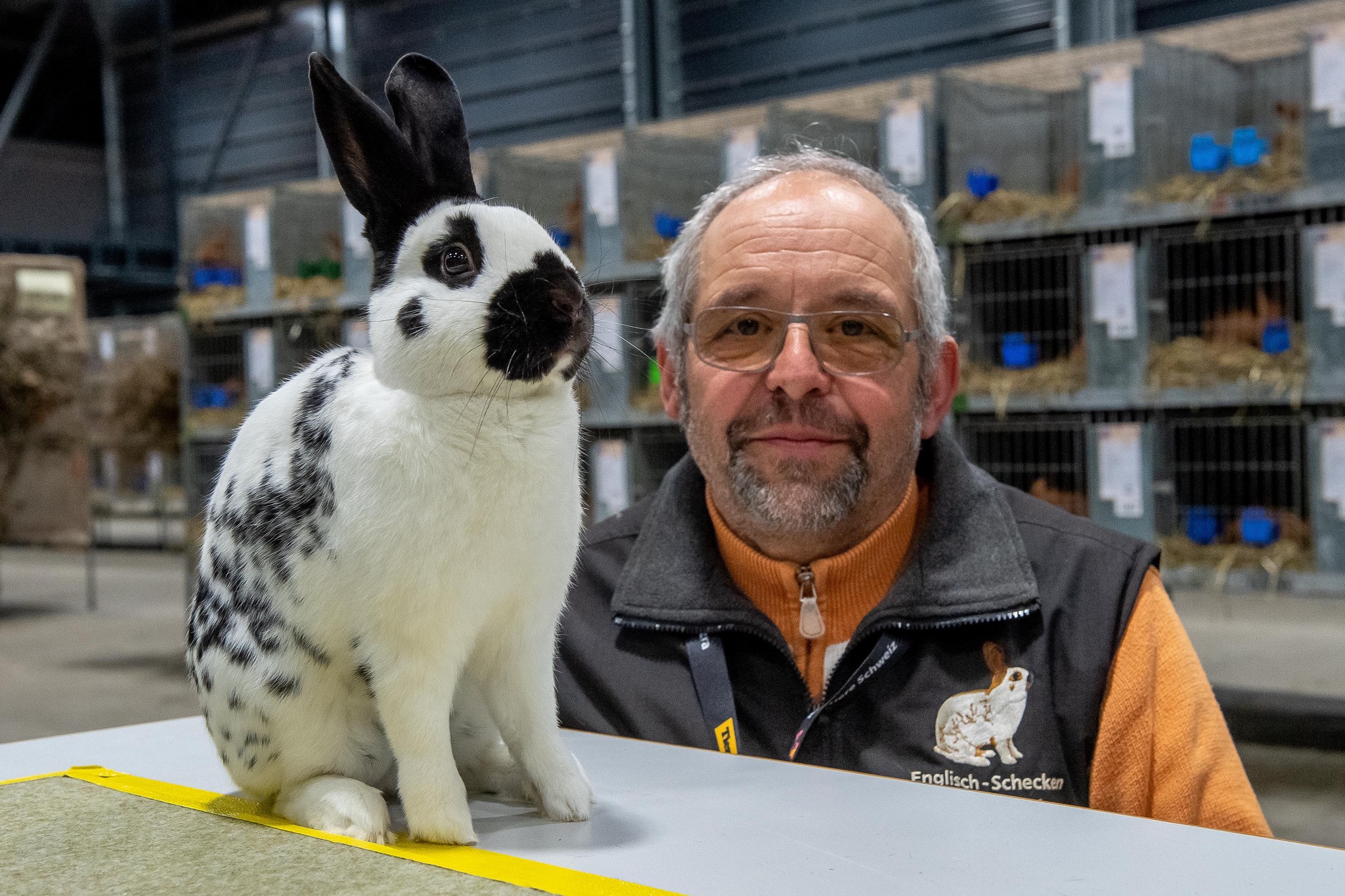Rammlerschau in Thun Kaninchenzüchter haben Olympia Der Bund