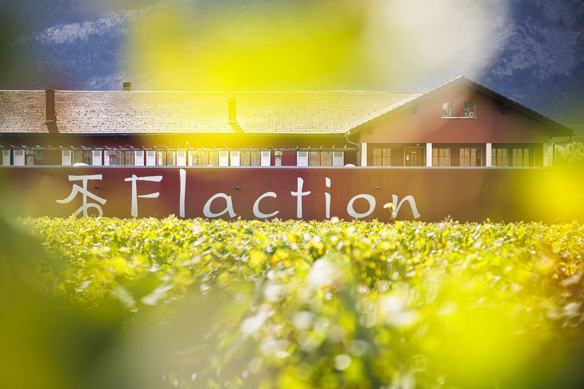 Le bâtiment de la cave Maison Rouge SA avec l'inscription 'Flaction' sur le mur, photographié entouré de vignes à Saint-Pierre-de-Clages, dans la commune de Chamoson, Valais.