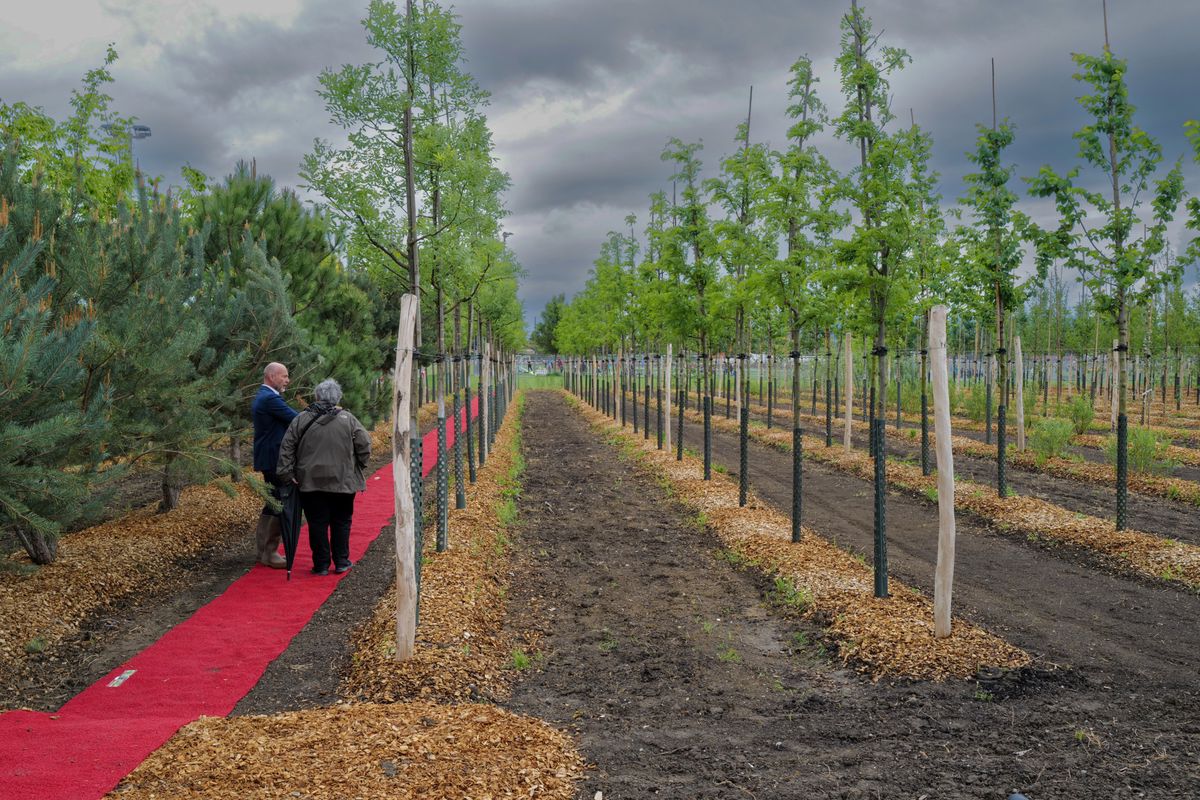 Genève 31/05/2024Présentation de la pépinière des Cherpines. chemin des Charrotons.