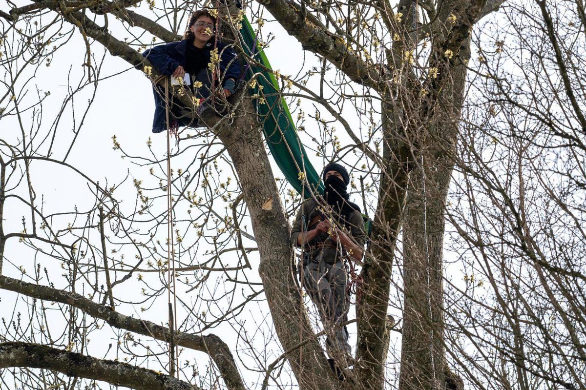 Les deux  derniers zadistes ont décidé de rester perchés, sans sac de couchage.