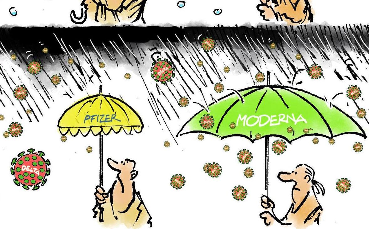 www.tagesanzeiger.ch