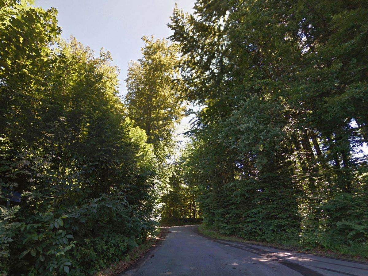 Aujourd’hui âgé de 52 ans, l’accusé ne se souvient pas avoir véhiculé et violé l’écolière dans cette forêt de Cugy (VD).