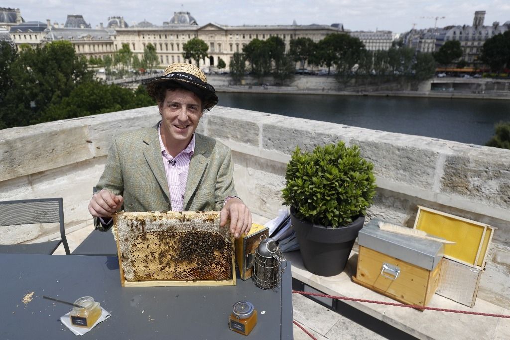 L'apiculture, des toits de Paris aux catacombes