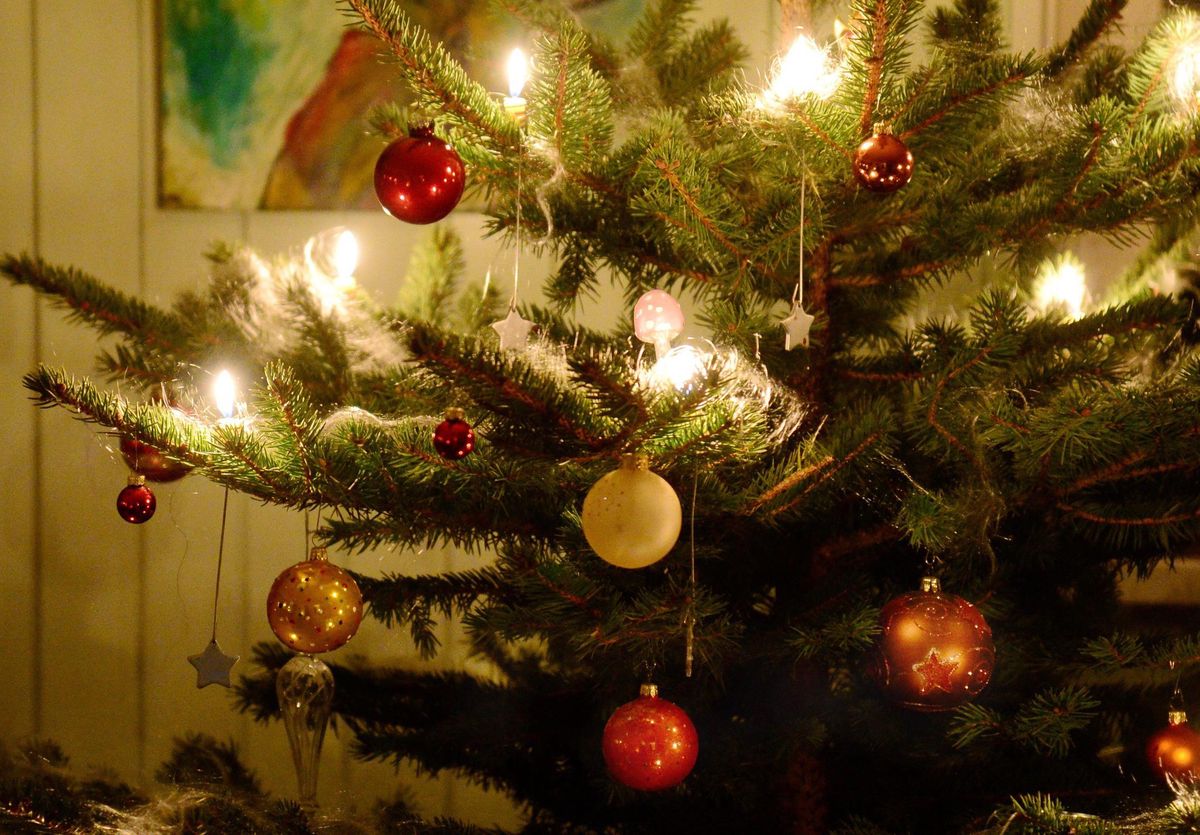 Frage der Woche Wie feiern Sie Weihnachten? Der Landbote