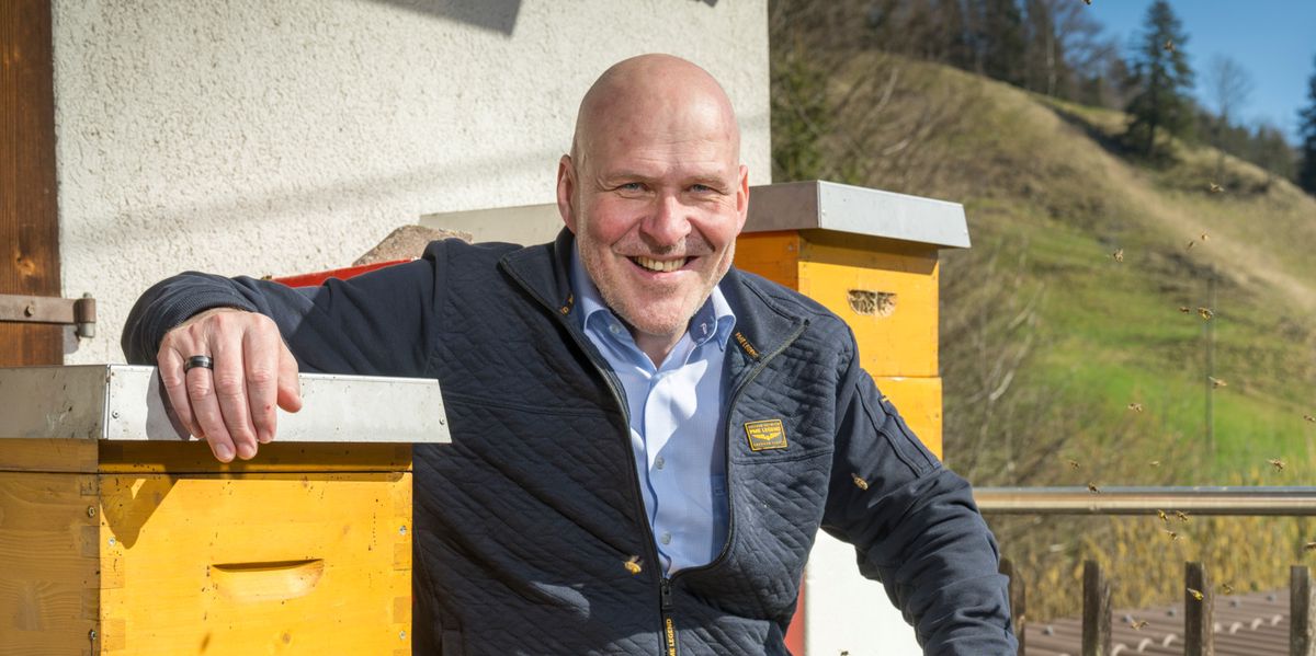 Bee initiative: Beekeepers want protection of pollinators in the ...