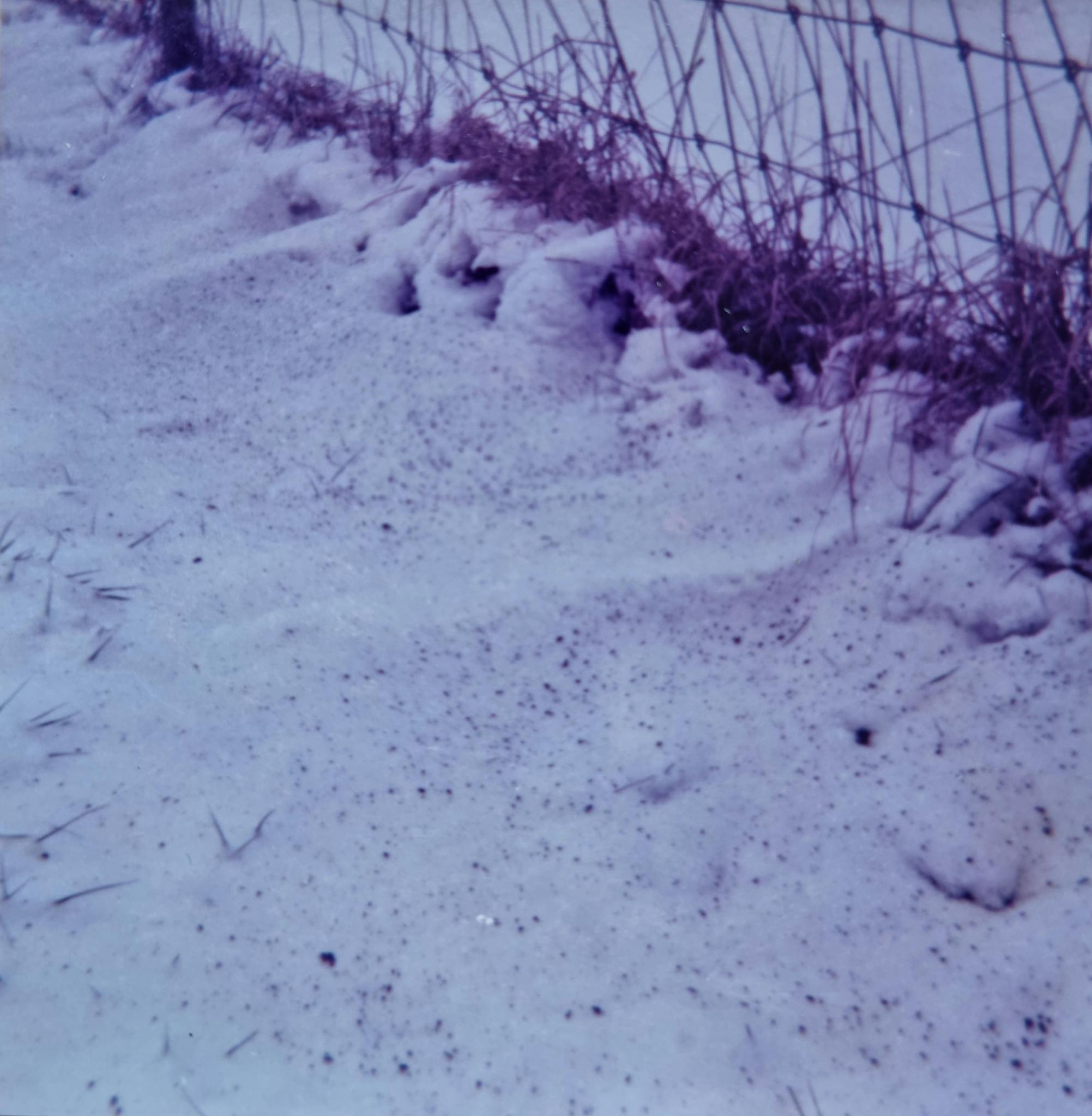 …bis der «schwarze Schnee» auf dem Land niederging.