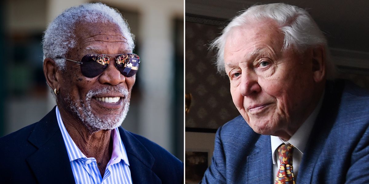David Attenborough vs. Morgan Freeman: Wer ist der bessere Erzähler