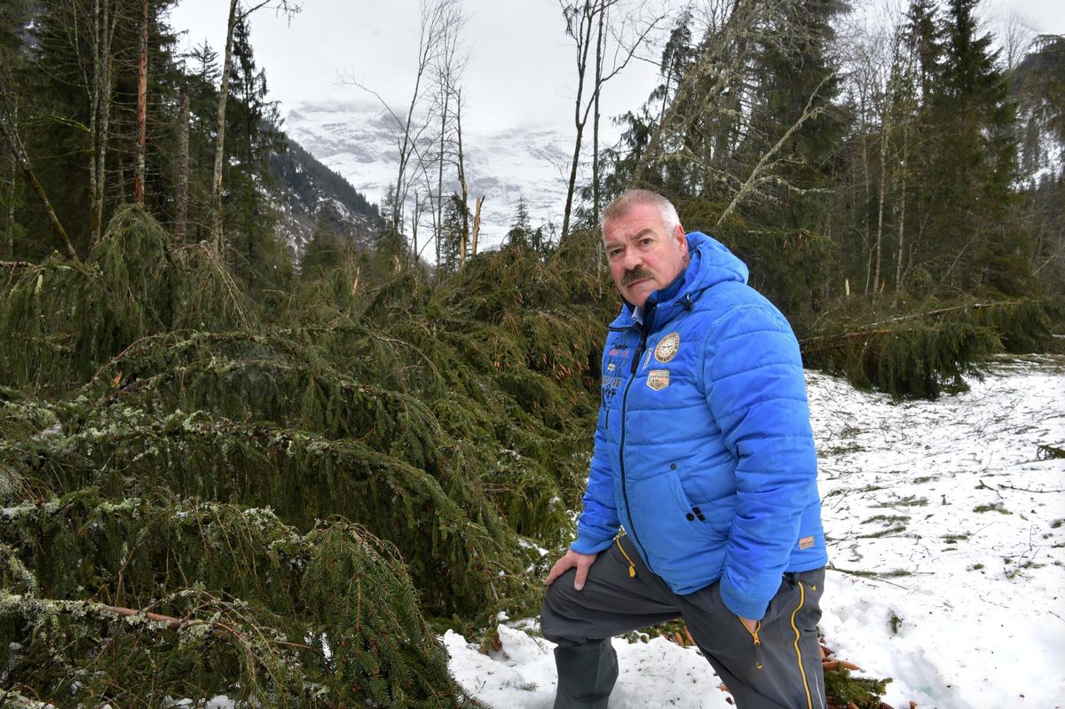 Une importante avalanche est tombée dans la région du Creux de champ aux Diablerets. Christian Reber, syndic des Diablerets,  ne peut que constater les dégâts. 
