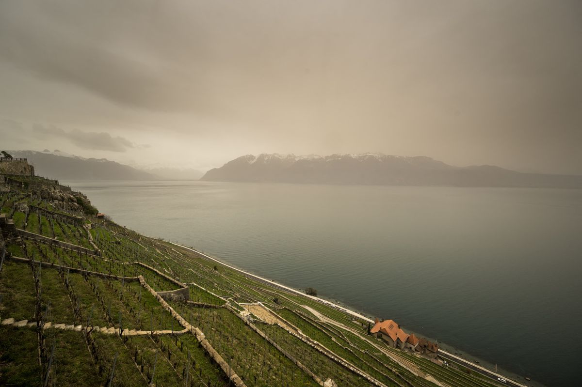 D'épaisses poussières de sable venues du Sahara donnant au ciel un aspect jaunâtre au-dessus des terrasses de vignes de Lavaux, sur les rives du lac Léman, près de Chexbres 
