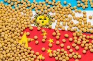 US-asiatischer Handelskonflikt: Wie Chinas Lieferketten Trumps Zollhammer verpuffen lassen