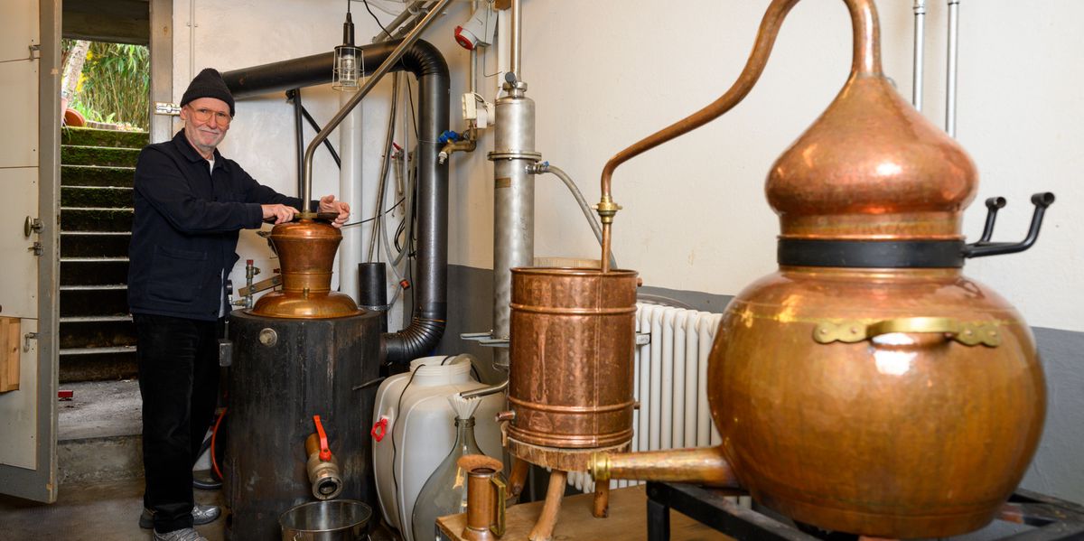 Jo Dunkel: Unique Non-Alcoholic Distillates from Wild Forest Herbs - News Directory 3