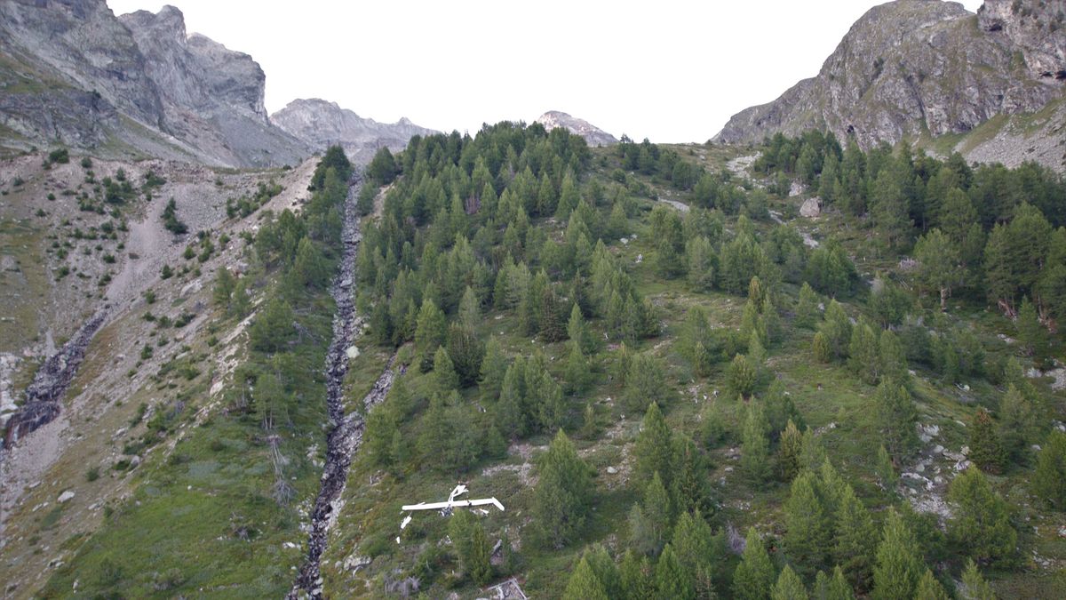 Vue aérienne d'une vallée de montagne avec une forêt de sapins et des formations rocheuses en arrière-plan.