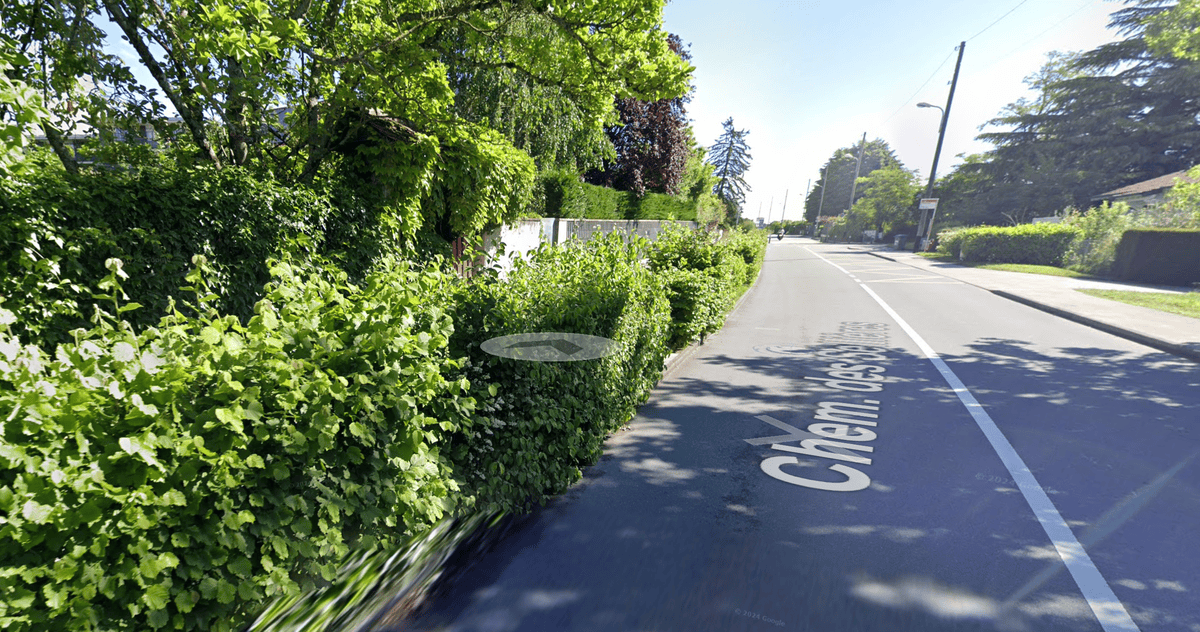 Route de campagne bordée de verdure et d'arbres sous un ciel ensoleillé.