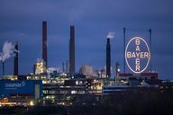 Aktie im Blickpunkt: Bayer erhält Rückendeckung von der US-Regierung