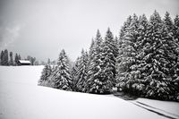 Les premiers flocons sont tombés en montagne
