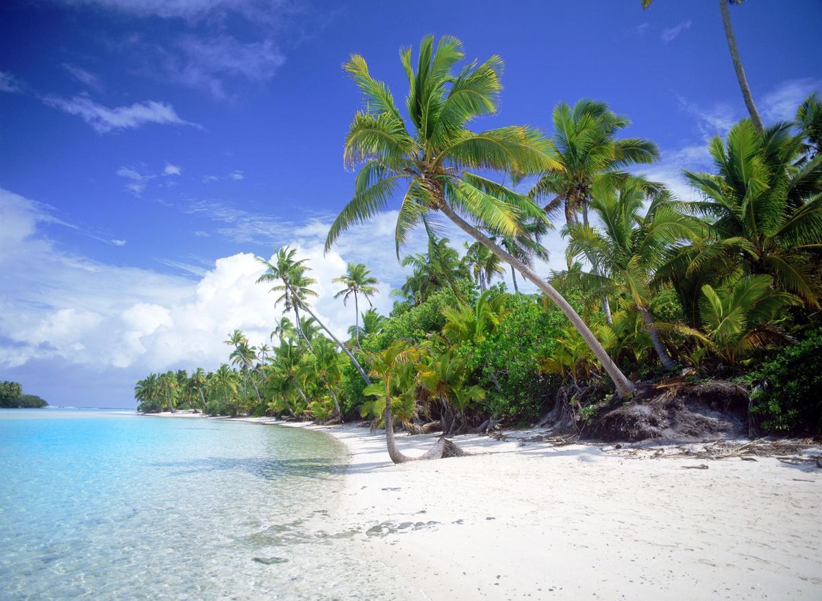 Le choix de la République des Vanuatu n’est pas le fruit du hasard. L’archipel est en effet connu pour offrir des avantages fiscaux non négligeables. (image d’illustration)